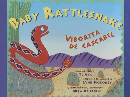 Baby Rattlesnake/Viborita de Cascabel