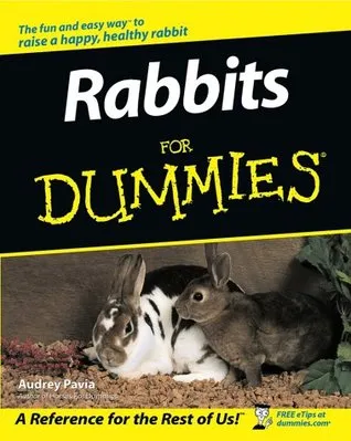 Rabbits for Dummies