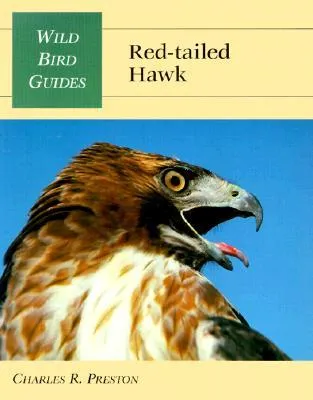 Red-Tailed Hawk (Wild Bird Guides)