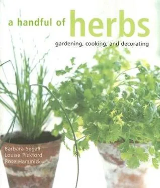 A Handful of Herbs: Gardening, Cooking, and Decorating