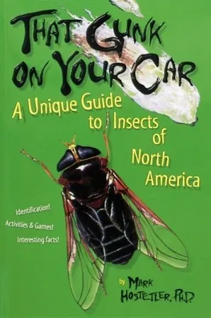 That Gunk on Your Car: A Unique Guide to Insects of North America